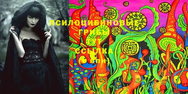 амф Кукмор