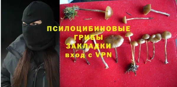 дживик Куйбышев