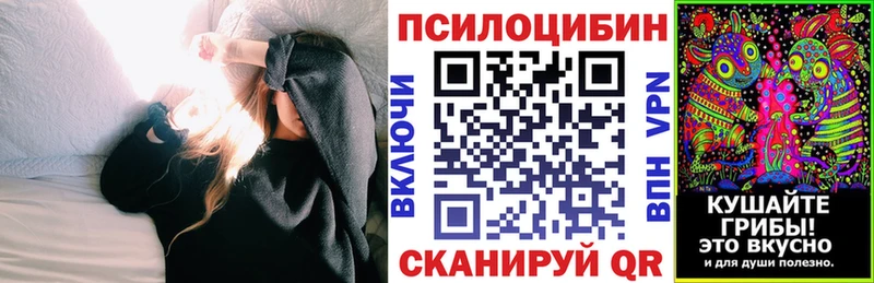 Псилоцибиновые грибы Psilocybe  Купить  Кимры 
